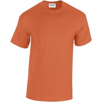Abbigliamento Uomo T-shirts a maniche lunghe Gildan GD005 Arancio