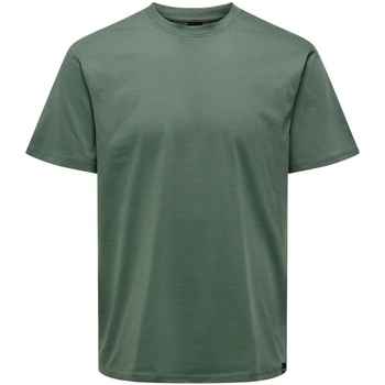 Abbigliamento Uomo T-shirt maniche corte Only & Sons  ONSMAX LIFE SS STITCH TEE NOOS Verde
