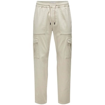 Abbigliamento Uomo Pantaloni Only & Sons  ONSLUC CARGO TAP 0121 PANT Beige