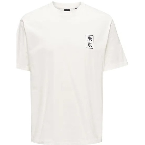 Abbigliamento Uomo T-shirt maniche corte Only & Sons  ONSKACE RLX JAP SS TEE Bianco
