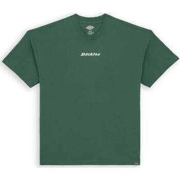 Abbigliamento Uomo T-shirt & Polo Dickies Enterprise Verde Foresta Verde