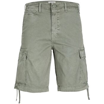 Abbigliamento Uomo Shorts / Bermuda Jack & Jones 12253122 COLE-AGAVE GREEN Verde