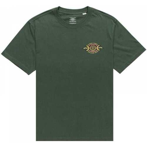 Abbigliamento Uomo T-shirt & Polo Element Timber ptance Verde