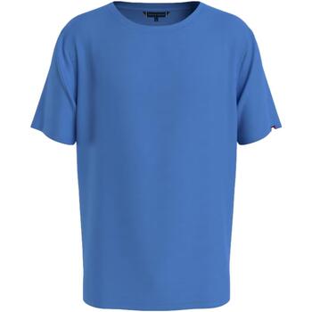 Abbigliamento Uomo T-shirt maniche corte Tommy Hilfiger UM0UM03196 Blu