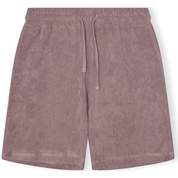 Abbigliamento Uomo Shorts / Bermuda Revolution Terry Shorts 4039 - Purple Viola