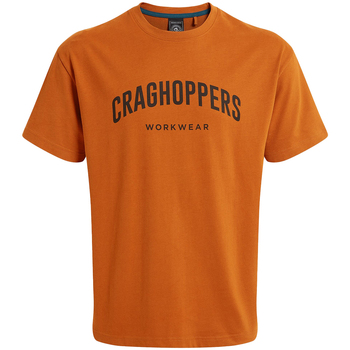 Abbigliamento Uomo T-shirts a maniche lunghe Craghoppers PC6932 Multicolore