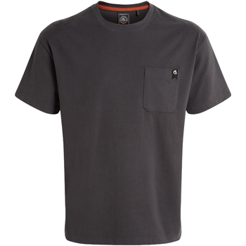 Abbigliamento Uomo T-shirts a maniche lunghe Craghoppers PC6942 Grigio