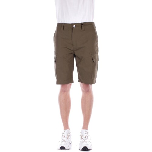 Abbigliamento Uomo Shorts / Bermuda Dickies DK0A4XED Verde