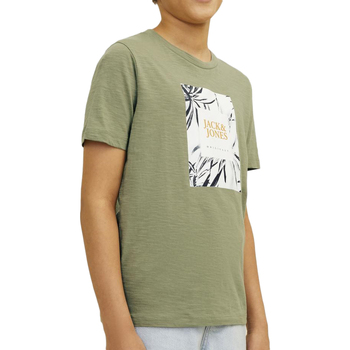 Abbigliamento Bambino T-shirt & Polo Jack & Jones 12258234 Verde