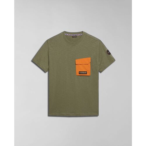 Abbigliamento Uomo T-shirt & Polo Napapijri S-TEPEES NP0A4HQJ-GAE1 GREEN LICHEN Verde