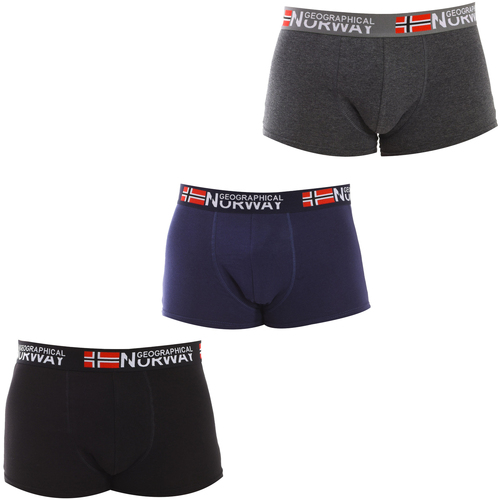 Biancheria Intima Uomo Boxer Geographical Norway GN1000-003 Multicolore