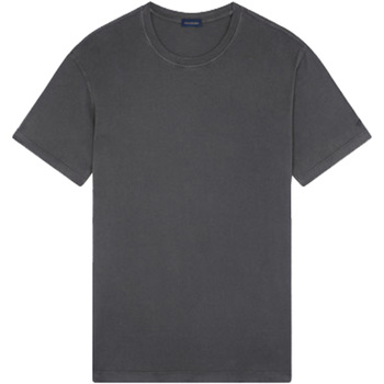 Abbigliamento Uomo T-shirt maniche corte Paul & Shark T-SHIRT IN COTONE Marrone