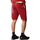 Abbigliamento Uomo Shorts / Bermuda The North Face Graphic Light Rosso