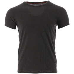 Abbigliamento Uomo T-shirt & Polo Schott SC-LLOYDONECK Grigio