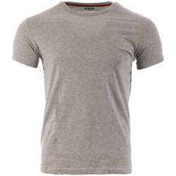 Abbigliamento Uomo T-shirt maniche corte Schott SC-LLOYDONECK Grigio