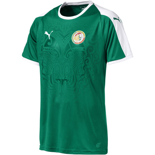 Abbigliamento Uomo T-shirt & Polo Puma 754927-05 Verde