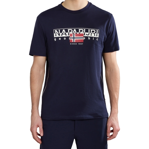 Abbigliamento Uomo T-shirt maniche corte Napapijri 236322 Blu