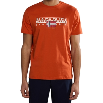 Abbigliamento Uomo T-shirt maniche corte Napapijri 236334 Arancio