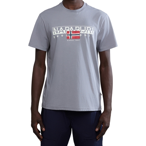 Abbigliamento Uomo T-shirt maniche corte Napapijri 236350 Grigio