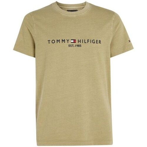 Abbigliamento Uomo T-shirt & Polo Tommy Hilfiger MW0MW35186-L9F FADED OLIVE Verde