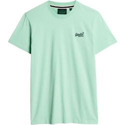 Abbigliamento Uomo T-shirt maniche corte Superdry 236503 Verde