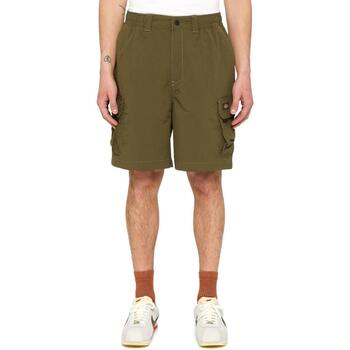 Abbigliamento Uomo Shorts / Bermuda Dickies  Verde