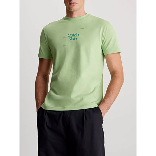 Abbigliamento Uomo T-shirt maniche corte Calvin Klein Jeans K10K112489 Verde