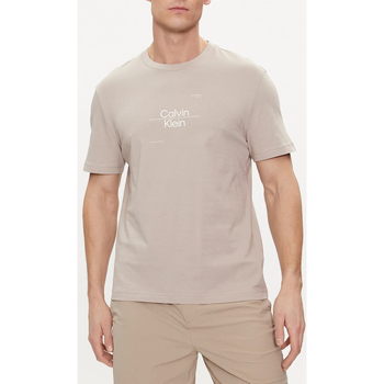 Abbigliamento Uomo T-shirt maniche corte Calvin Klein Jeans K10K112489 Grigio