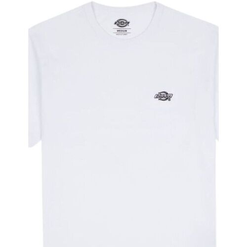 Abbigliamento Uomo T-shirt maniche corte Dickies SUMMERDALE SS TEE Bianco