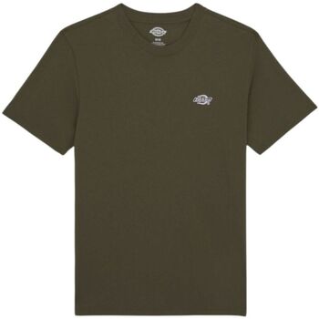Abbigliamento Uomo T-shirt maniche corte Dickies SUMMERDALE SS TEE Verde