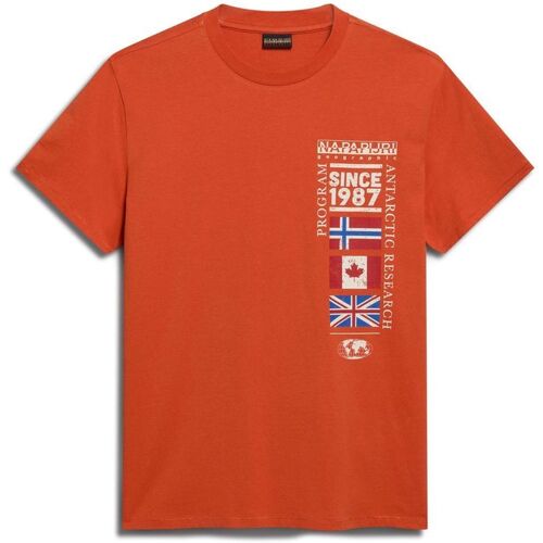 Abbigliamento Uomo T-shirt maniche corte Napapijri NP0A4HQGA621 Arancio