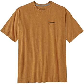 Abbigliamento Uomo T-shirt & Polo Patagonia P-6 Logo Cammello Cammello