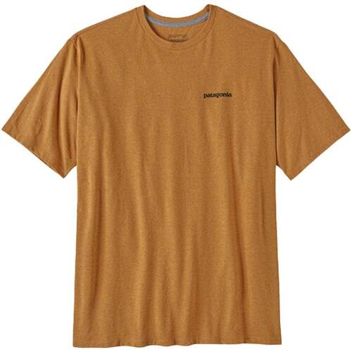 Abbigliamento Uomo T-shirt & Polo Patagonia P-6 Logo Cammello Cammello