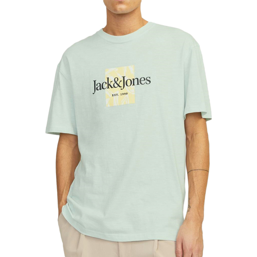Abbigliamento Uomo T-shirt & Polo Jack & Jones 12250436 Blu