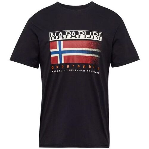 Abbigliamento Uomo T-shirt & Polo Napapijri NP0A4HQR1761 Blu