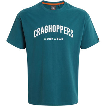 Abbigliamento Uomo T-shirts a maniche lunghe Craghoppers Batley Blu