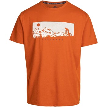 Abbigliamento Uomo T-shirts a maniche lunghe Trespass Nellow Arancio