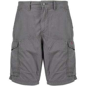 Abbigliamento Uomo Shorts / Bermuda Napapijri NOTO 2.0 H311 Grigio