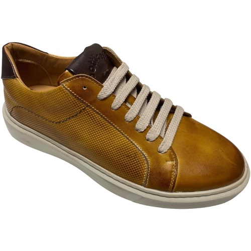 Scarpe Uomo Sneakers Botticelli ATRMPN-45502 Marrone