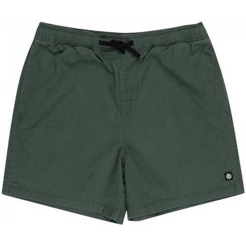 Abbigliamento Uomo Shorts / Bermuda Element Valley twill Verde