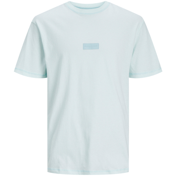 Abbigliamento Uomo T-shirt & Polo Jack & Jones 12234809 Blu
