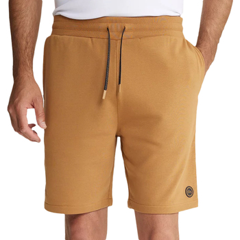 Abbigliamento Uomo Shorts / Bermuda TBS LUCIOBER Marrone