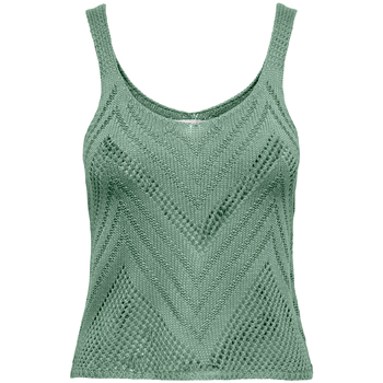 Abbigliamento Donna T-shirt & Polo JDY 15226348 Verde
