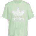 Image of T-shirt & Polo adidas Trfl Tee Boxy Segrsp Verde067