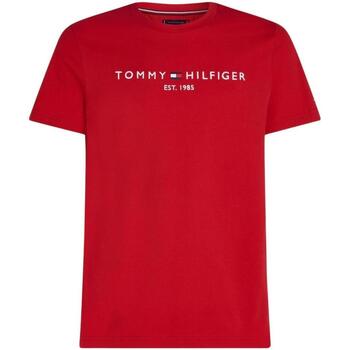 Abbigliamento Uomo T-shirt maniche corte Tommy Hilfiger  Rosso