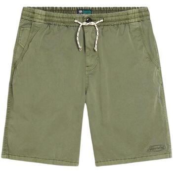 Abbigliamento Uomo Shorts / Bermuda Superdry  Verde
