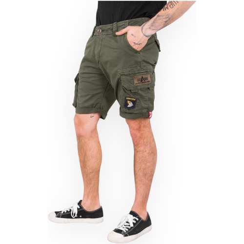 Abbigliamento Uomo Shorts / Bermuda Alpha 186209 142 Verde