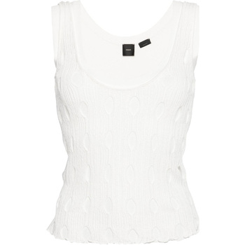 Abbigliamento Uomo Top / T-shirt senza maniche Pinko 103468a1un-z04 Bianco