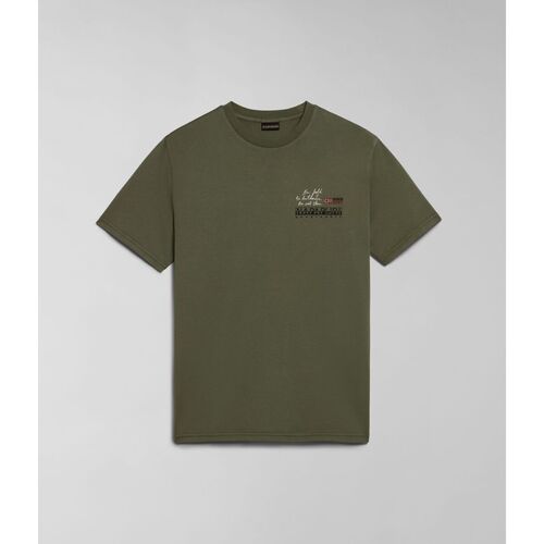 Abbigliamento Uomo T-shirt & Polo Napapijri D-COLVILLE NP0A4HS5-GAE GREEN LICHEN Verde