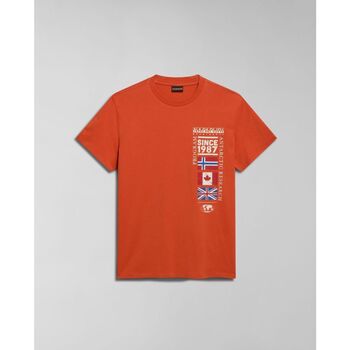 Abbigliamento Uomo T-shirt & Polo Napapijri S-TURIN NP0A4HQG-A62 ORANGE BURNT Arancio